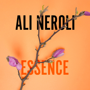 腹肌小奶狗导管视频大全
