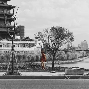 腹肌小奶狗导管视频大全
