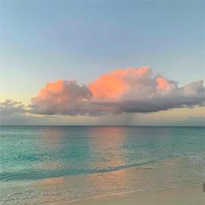 腹肌小奶狗导管视频大全
