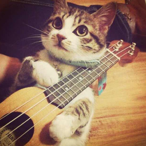 腹肌小奶狗导管视频大全
